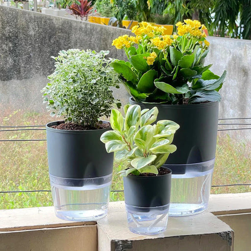 Lobello Pots (8" IN)