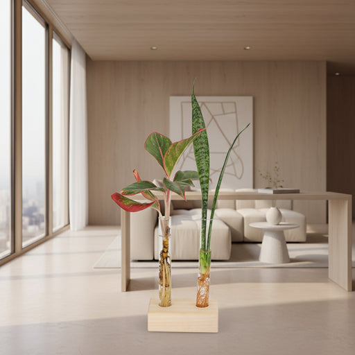 Test Tube Planter – TTP2