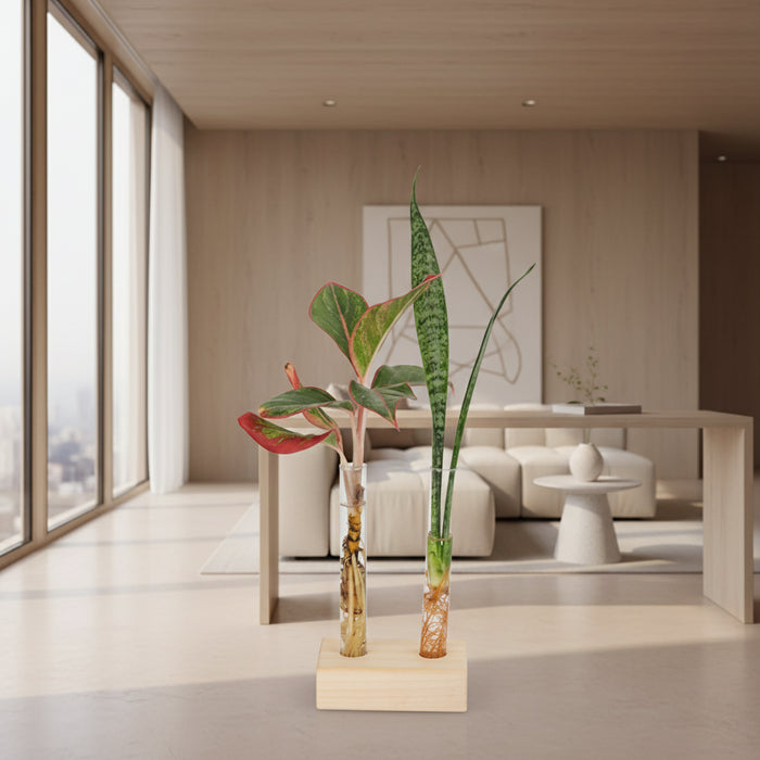 Test Tube Planter – TTP2