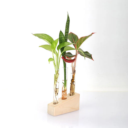 Test Tube Planter – TTP3