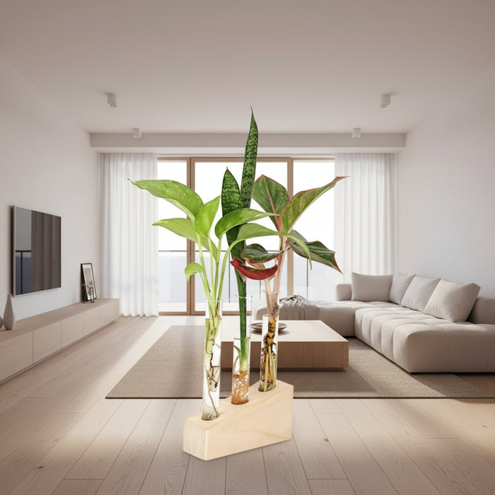 Test Tube Planter – TTP3