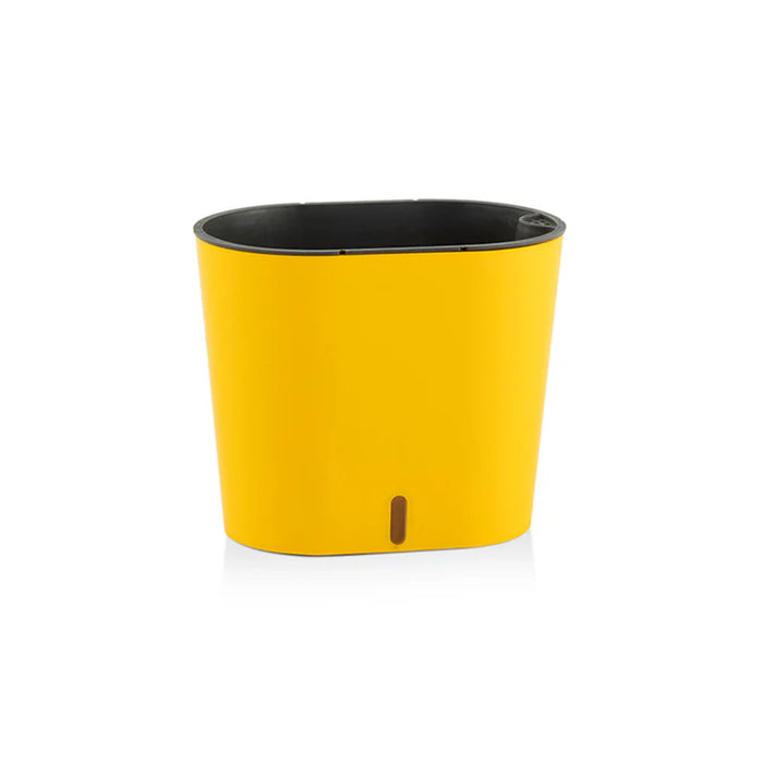 Cavender Pots