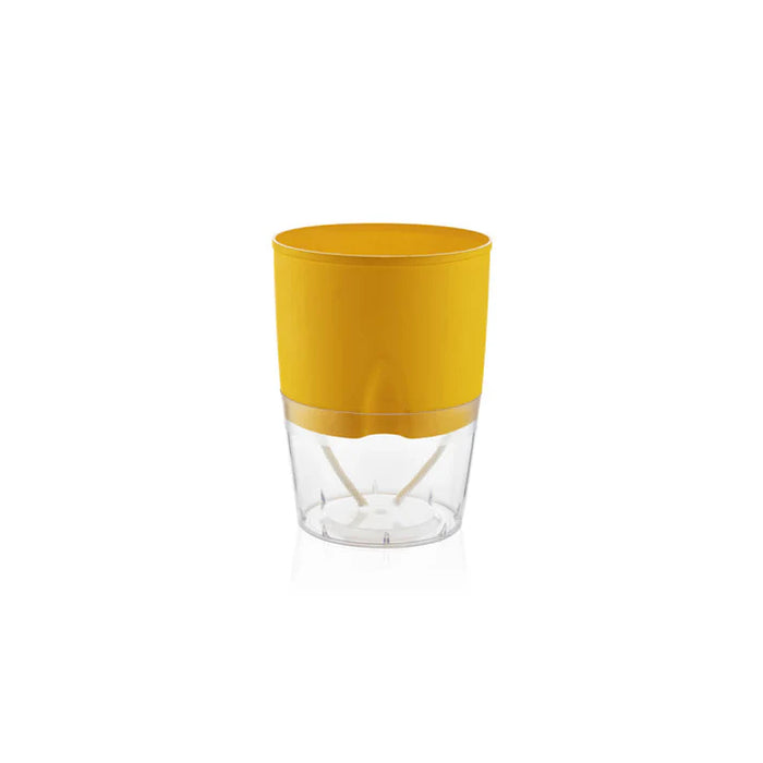 Lobello Pots (8" IN)