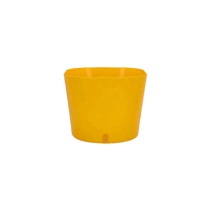 Cube Big Pot
