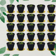 Kapur Guggal Dhoop Cup Jar (25 pc)