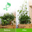 GreenTrail Hooks