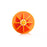 Durable plastic citrus juicer