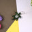 TurtleTag