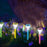 Street Light Solar Flowers Lights Road Light Flower Landscape Light Decorative Yard Lights Solar Lights Garden Stake Flower Lights Solar Landscape Light in Outdoor Spotlight (2 Pc )