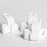 Set of plastic hangers with non-slip pads.