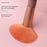 LuxeBrush Collection