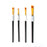 PaintMaster Premium