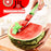 Stainless Steel Washable Watermelon Cutter – Windmill Slicer & Peeler