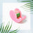 Mini Office Stationery Set (4 Pcs Set)