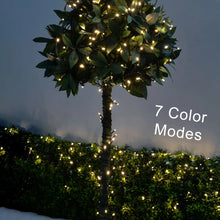 LED string lights with flower design, multi-color