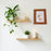 Creative Solid Wooden Photo Frame (Mix Design &amp; Size / 1 Pc)