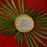 Divine Lakshmi Ganesh Gold-Silver Plated Blessing Coin