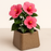 ROTO Tiny Pot – Modern Compact Planter for Stylish Spaces