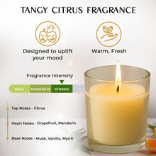 🕯️ In’lief Blueberry Scented Soy-Blend Votive Candle – 50 gm