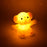 Cartoon Shape Crystal LED Night Light Lamp – Cute Glowing Animal Decorative Light (1 Pc)