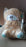Soft Plush Musical Teddy Bear Toy with LED Light (1 Pc)