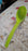 Plastic Spoon Kitchen Multipurpose Serving Ladle for Frying, Serving, Turner, Curry Ladle, Serving Rice, Spoon Used While Eating and Serving Food Stuffs Etc (2 Pcs Set / 10 Inch )