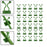 Set of 30 wall clips for plant climbing and poultry purposes.