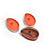 Plastic Wet and Dry Brush for home  (Multicolor, 3 Units)