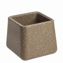 Aglaonema Plant with 4 Pots Set