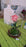 Glass Flower with Led Light Great Gift (1 Set)