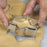 Collection of stainless steel cookie cutters