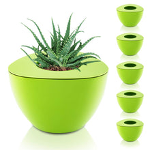 Triangle Pots