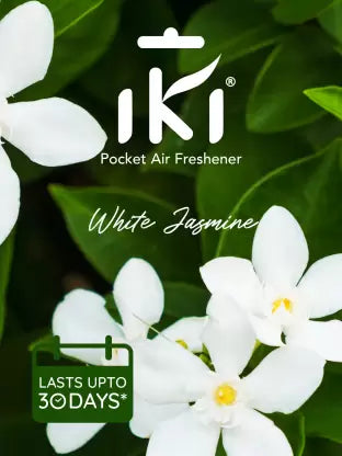 IKI Pocket Air Freshener Mix Flavor / Fragrance (1 Pc / 10 Gm)