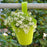 Hanging planter pot with multicolors