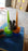 Auto Plant Watering Devices (1 Pc / Mix Color)
