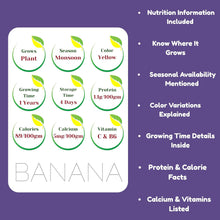 TodFod Fruit Flash Cards for Nursery & Kindergarten