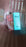 Plastic 2 In 1 Mist Spray Water Bottle (Multicolour / 600 ML / 1 Pc)