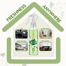 Jasmine Rajnigandha Air Freshener – Floral & Fresh (250ml)