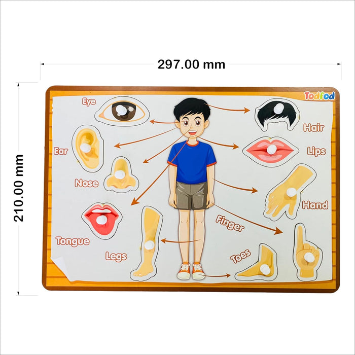 Todfod Kids Body Parts Learning Puzzle