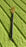 Back Scratcher Retractable Metal Tube Telescoping Massage Tool Portable Telescopic Back Scratchers for Women Men Adjustable 43cm, khujli (1pc)