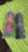 Hair Clips For Girls Kids Hair Accessories for Girls, Women (1 Pc)