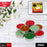Assorted colors in a set of 50 decorative candles