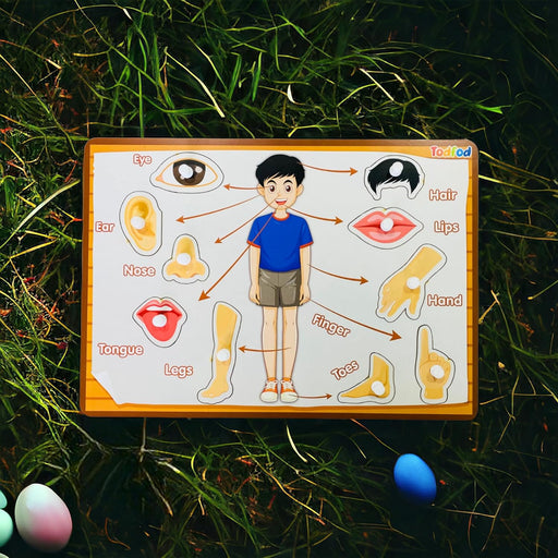 Todfod Kids Body Parts Learning Puzzle