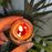 Fragrant Glass Candle Set – 6-Piece Gift Pack
