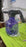 Electric 3L Garden Sprayer – Automatic, Rechargeable Watering Can for Fertilizing (1 Pc)