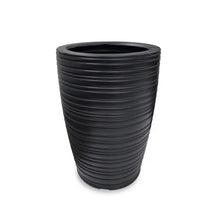 Red Machira Live Plant with 4 Designer Pots Combo (Set of 5)