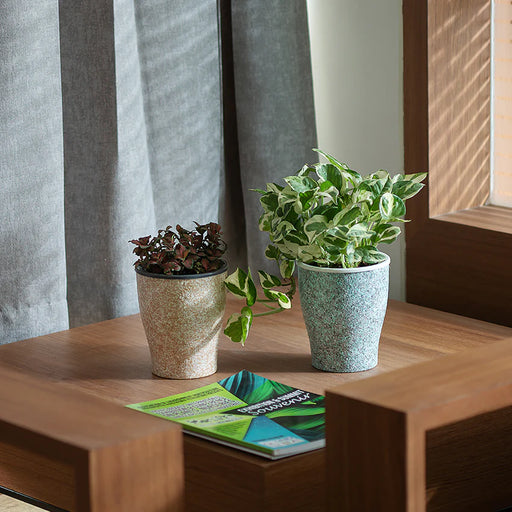 Cone Painted Planter Pot