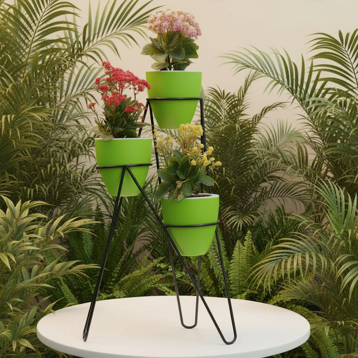 Convex 15 Pots With Ring