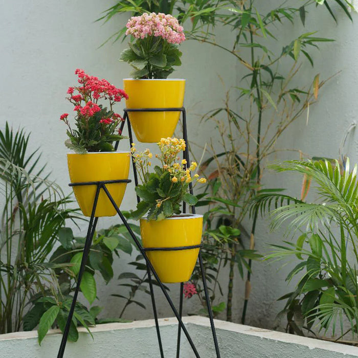 Convex 8 Pots With Ring