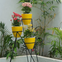 Convex 8 Pots With Ring